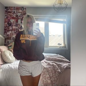 minnesota gophers hoodie